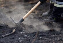 RLP: 350 Feuerwehrleute bei Waldbrand im Einsatz – Löscharbeiten in schwierigem Gelände