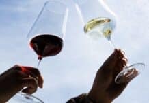 Rückgang bei Rotwein – Trend zu Weißwein – deutscher Weißwein in China gefragt