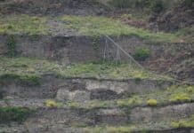 Rechtecke ohne Reben: Weinkrise mit mehr Weinbergsbrachen?