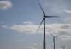 Verbände sehen Windkraftausbau in RLP gefährdet – Stoppt die Feldermaus Windräder?