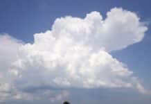 ++ Heiteres Wetter in der Region – Temperaturen bis zu 25 Grad ++