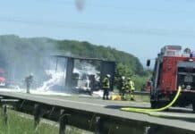 Lkw brennt lichterloh! Vollsperrung auf der B51 – Das ist passiert B51 bei Meckel voll gesperrt: Feuerwehr löscht brennenden Sattelauflieger nach Vollbrand auf der Bundesstraße.