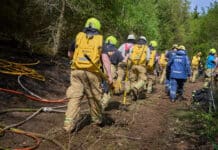 RLP: Hunderte Einsatzkräfte bekämpfen weiterhin großen Waldbrand