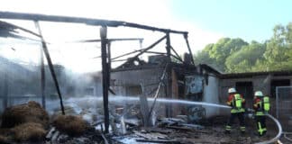 Großbrand auf Geflügelhof: Rettung für 2.000 Hennen läuft