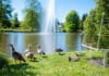 DWD: Milder und sonniger Frühling in Rheinland-Pfalz