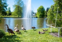 DWD: Milder und sonniger Frühling in Rheinland-Pfalz