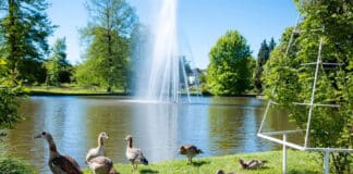 DWD: Milder und sonniger Frühling in Rheinland-Pfalz