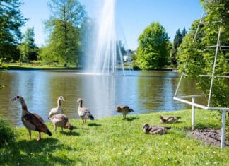 DWD: Milder und sonniger Frühling in Rheinland-Pfalz