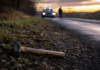 Tödlicher Spaziergang: Ehemann soll Frau mit Hammer erschlagen und liegen gelassen haben Symbolbild zum Tötungsdelikt in Ebernhahn: Hammer am Straßenrand mit Polizeifahrzeug im Hintergrund nach mutmaßlicher Gewalttat im Westerwald.
