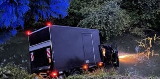 Ausweichmanöver geht schief: Lastwagen stürzt in Altrhein – Fahrer verletzt