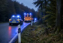Luxemburg: Tödliches Drama am Sonntagmorgen – Autofahrer prallt gegen Baum und stirbt!