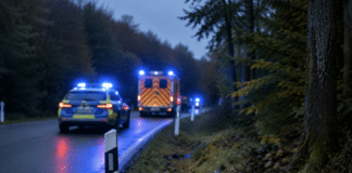 Luxemburg: Tödliches Drama am Sonntagmorgen – Autofahrer prallt gegen Baum und stirbt!