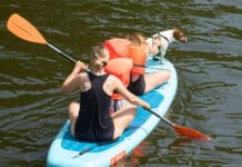 30-Grad-Marke an Mosel und Saar mehrfach geknackt
