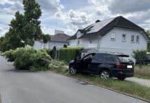 Unfall in Wittlich: Betrunkener PKW-Fahrer fährt Baum um