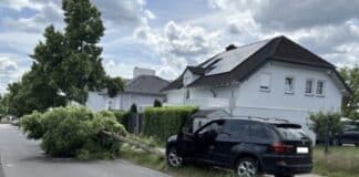 Unfall in Wittlich: Betrunkener PKW-Fahrer fährt Baum um
