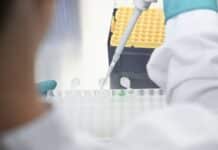 Wagniskapital für deutsche Biotech-Firmen bricht ein – Gefahr für den Standort