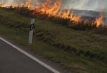 Wiese in Flammen: Flächenbrand zwischen Dreis und Salmtal – Ermittlungen laufen