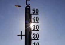 Region: Tropennächte und Hitze bis 40 Grad – DWD warnt vor extremer Belastung