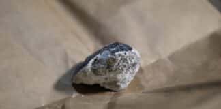 Nach „Hammer-Fall“: Warum Forscher auf 20 Gramm des Koblenz-Meteoriten hoffen