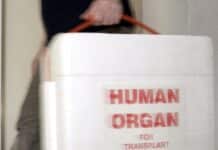 Mehr Organspender in Rheinland-Pfalz – doch weiter unter dem Bundesschnitt