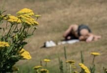 Region: Höchsttemperaturen bis 32 Grad erwartet – Gewitter mit Starkregen möglich