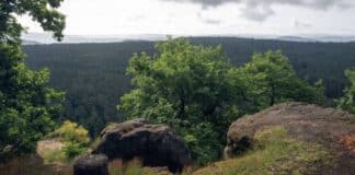 ++ Wechselhaftes Wochenende in der Region – ab Dienstag wärmer ++