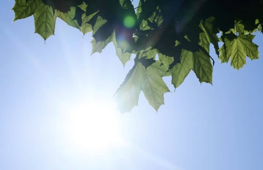 Hitzesommer-in-der-Region-Mittwoch-bis-zu-39-Grad-kein-Regen-ins-Sicht