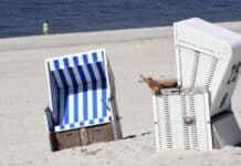 Italien, Nordseeküste, Normandie: Wo rheinland-pfälzische Politiker Urlaub machen