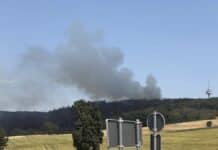 RLP: Großeinsatz bei Waldbrand in Gebiet mit Kampfmitteln – Ort teilweise geräumt