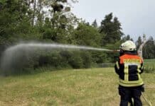 Trier: Feuerwehr übt Löschen von Waldbrand – 14 Fahrzeuge und 70 Feuerwehrleute