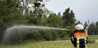 Trier: Feuerwehr übt Löschen von Waldbrand – 14 Fahrzeuge und 70 Feuerwehrleute