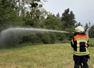 Trier: Feuerwehr übt Löschen von Waldbrand – 14 Fahrzeuge und 70 Feuerwehrleute