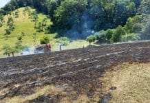 Wolsfeld: Feuerwehren rücken zu großem Flächenbrand aus – Ein Verletzter