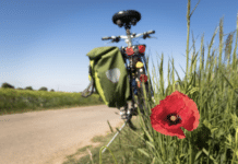 Deutschlands beliebteste Outdoor-Ziele für den Sommer 2026
