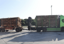 Wahnsinn: Bremsscheibe gerissen, total überladen – Polizei Trier stoppt polnischen Holztransport!