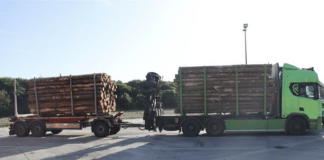 Wahnsinn: Bremsscheibe gerissen, total überladen – Polizei Trier stoppt polnischen Holztransport!