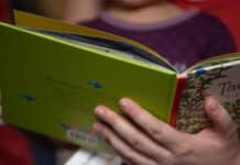 Mehr als 7.000 Kinder aus RLP lesen: Weltrekord in Mainz
