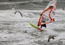Opfer aus Rheinland-Pfalz: Toter Windsurfer auf Fehmarn entdeckt