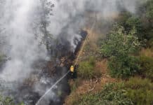 RLP: Waldbrand-Lage stabilisiert sich – Feuerwehrmann verletzt