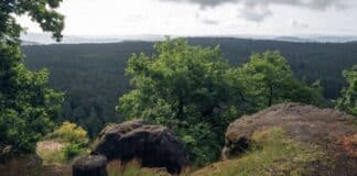 ++ Heiteres Sommerwetter in der Region – sonntags örtlich Gewitter möglich ++