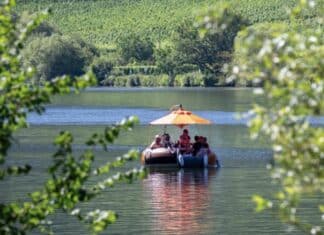 30 Grad und mehr: Wo RLP bei Hitze cool bleibt – Kino, Krypta, Landesmuseum