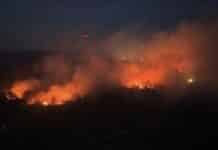 Nach Brand am Rotenfels: Wie gut ist Rheinland-Pfalz für Waldbrände gerüstet?