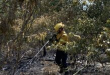 Waldbrand in Kampfmittelgebiet: Lage stabilisiert sich – Feuerwehrmann verletzt