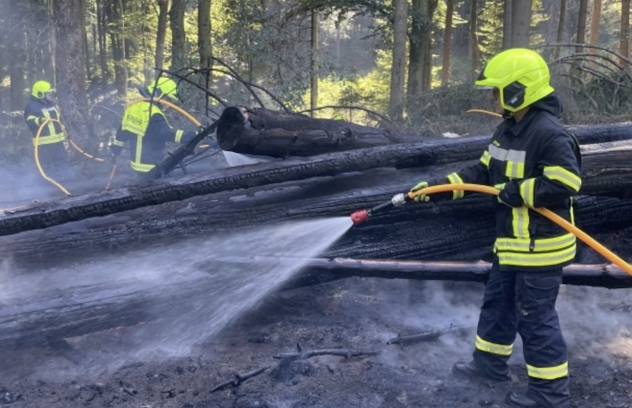 Waldbrand-in-der-Vulkaneifel-Brandbek-mpfung-unter-schwierigen-Bedingungen