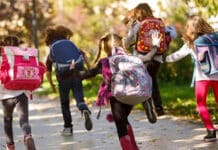 Urteil in Trier: Landkreis muss private Beförderungskosten von Schülern zur Haltestelle nicht zahlen